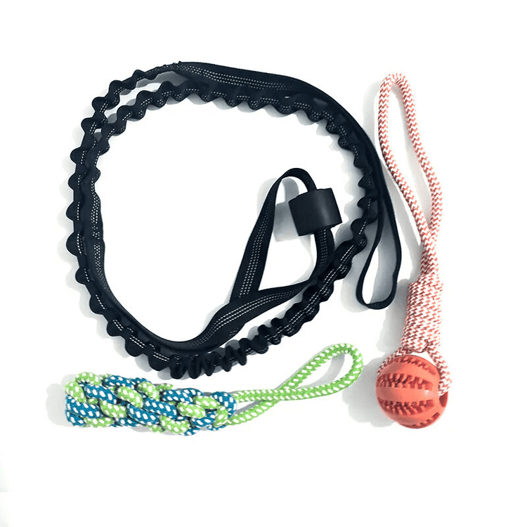 TugPaws™ Bungee Tug Rope set with red ball and green handle – Durable & Fun Interactive Dog Toy for engaging indoor or outdoor play.