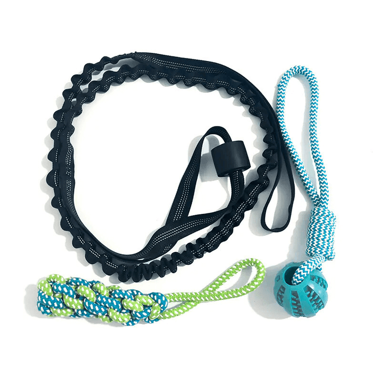 TugPaws™ Bungee Tug Rope set with blue ball and green handle – Durable & Fun Interactive Dog Toy for dogs of all sizes.