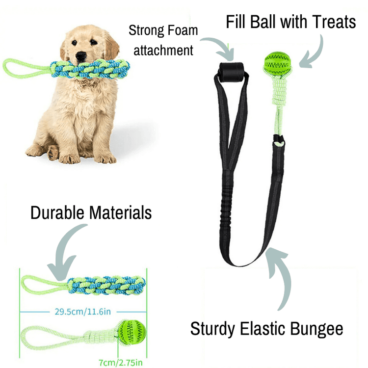 TugPaws™ Bungee Tug Rope product diagram – Durable & Fun Interactive Dog Toy with treat ball, foam handle, and elastic bungee cord.