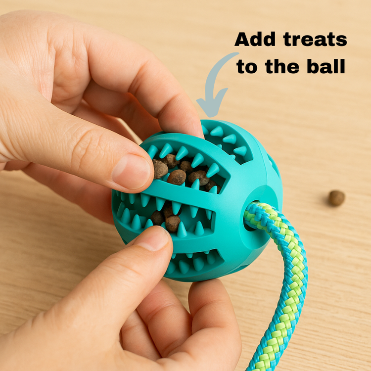 Close-up of TugPaws™ Bungee Tug Rope treat ball being filled – Durable & Fun Interactive Dog Toy for mental stimulation and reward.