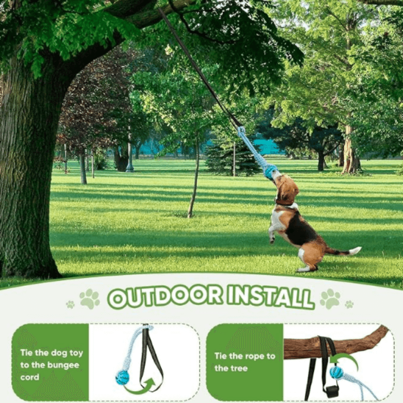 Outdoor installation guide for TugPaws™ Bungee Tug Rope – Durable & Fun Interactive Dog Toy for tying to trees for active play.