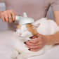 Pet Gentle Grooming Brush ~ Tame shedding and keep fur off your floors.